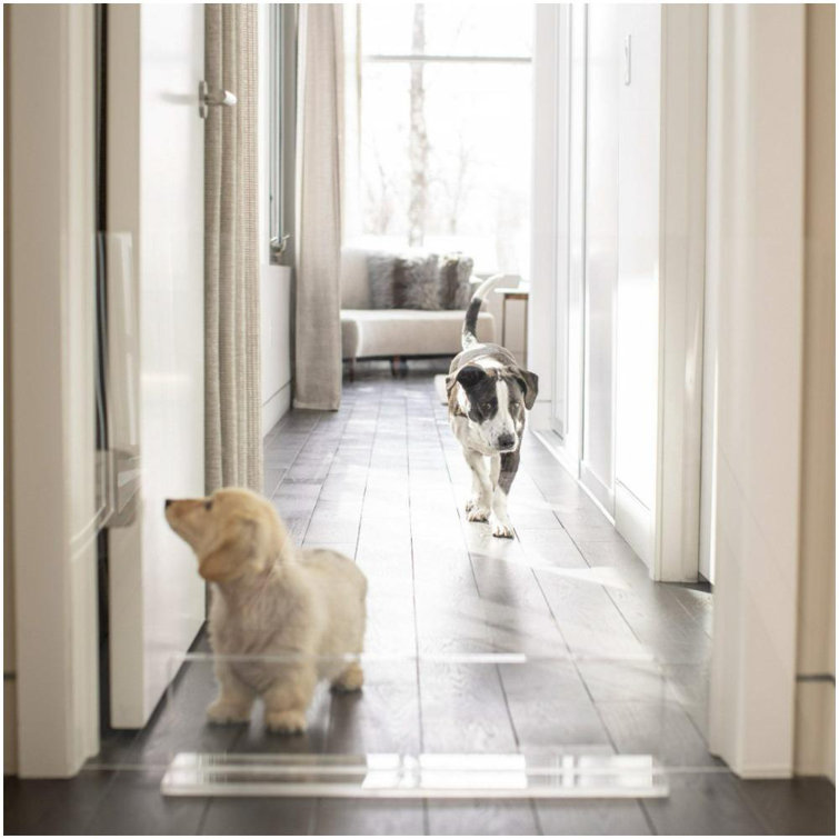 Clear Acrylic Freestanding Pet Gate Panel, 30 Inches Tall