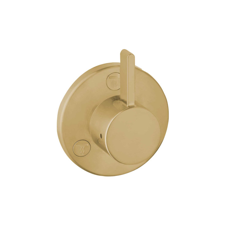 Brushed Bronze Wall-Mounted Shower Diverter Trim