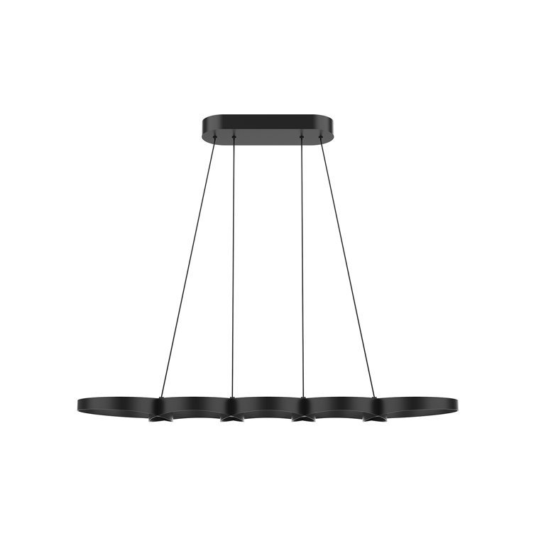 Modern Black Glass LED Indoor/Outdoor Pendant Light