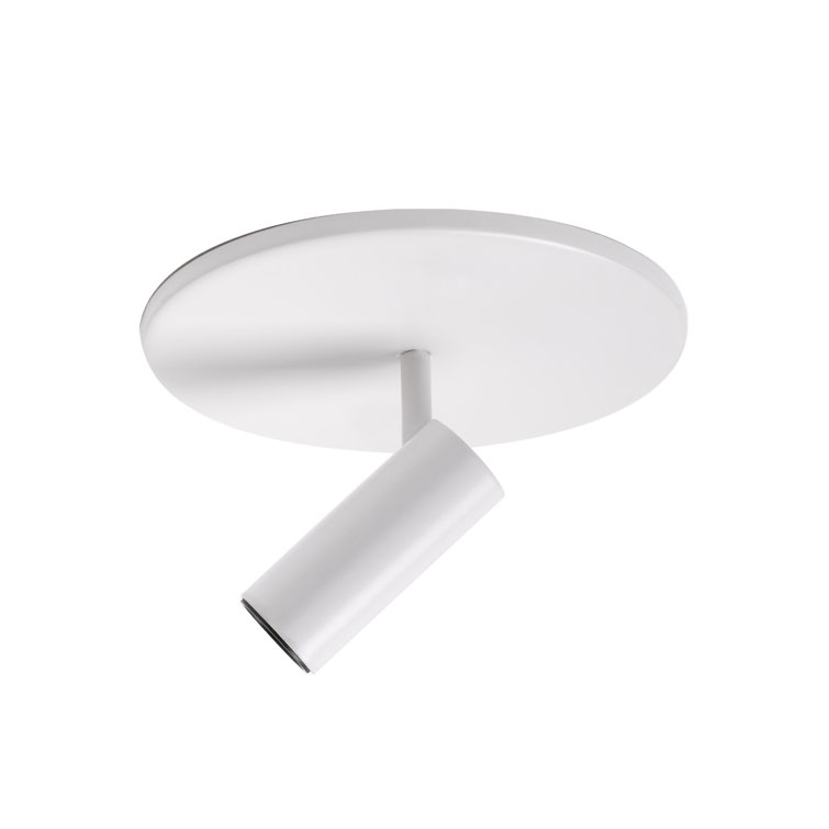 Monae Retro Black LED Orb Flush Mount Spotlight