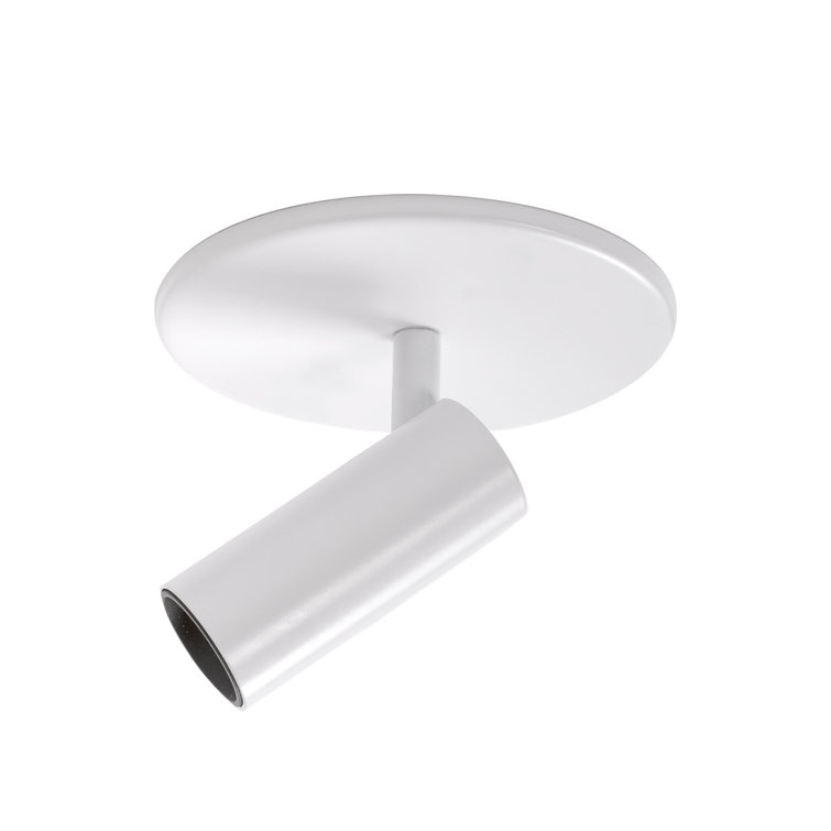 Monae Retro Black LED Orb Flush Mount Spotlight