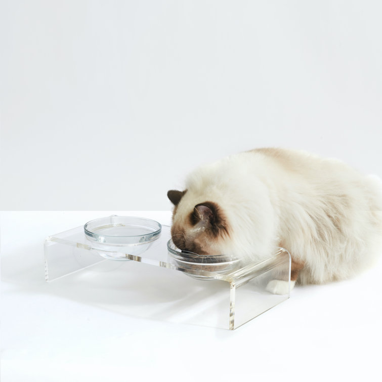 Clear Acrylic Elevated Feeder with Glass Bowls for Pets