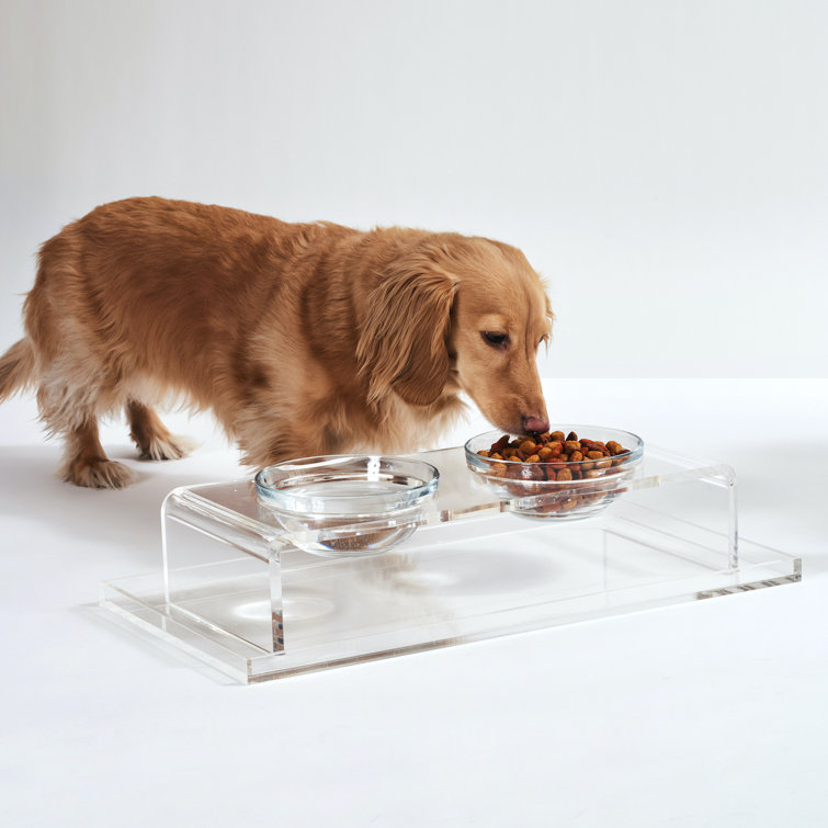 Clear Acrylic Elevated Feeder with Glass Bowls for Pets