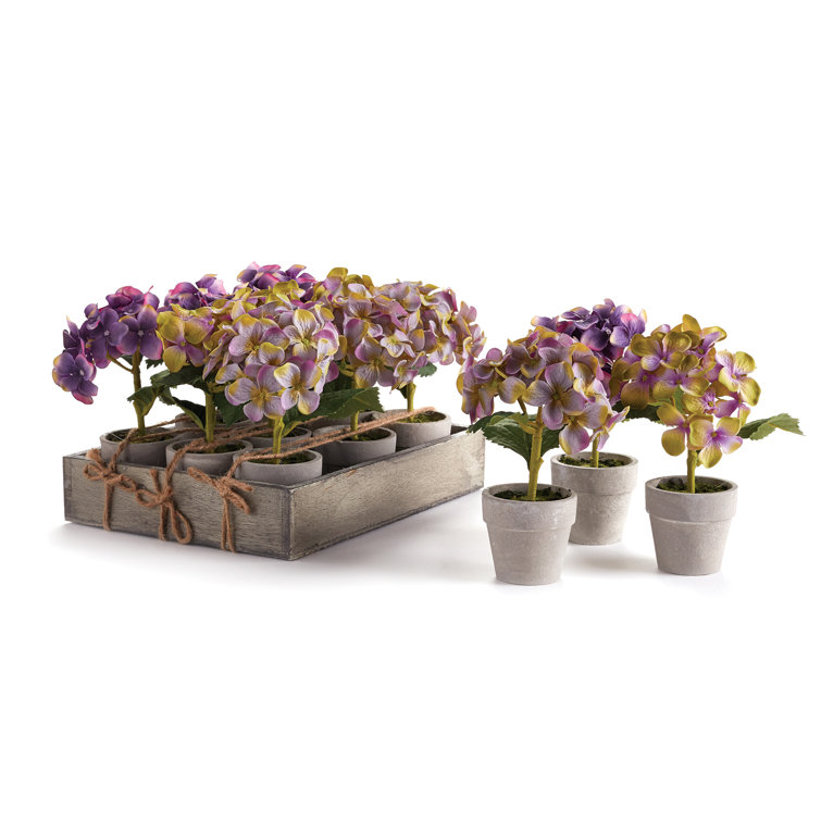 Purple Mini Hydrangea Potted Topiary Set with Tray