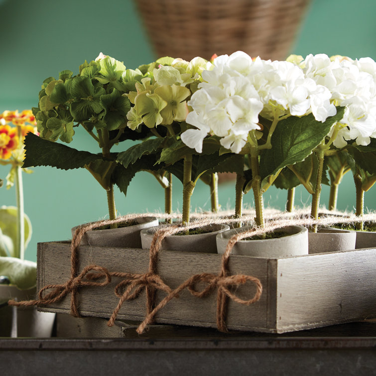 Mini White and Green Hydrangea 7" Potted Set with Lights