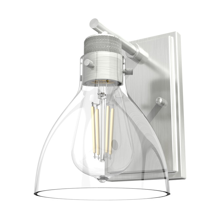 Brushed Nickel 1-Light Outdoor Wall Sconce with Clear Glass Shade