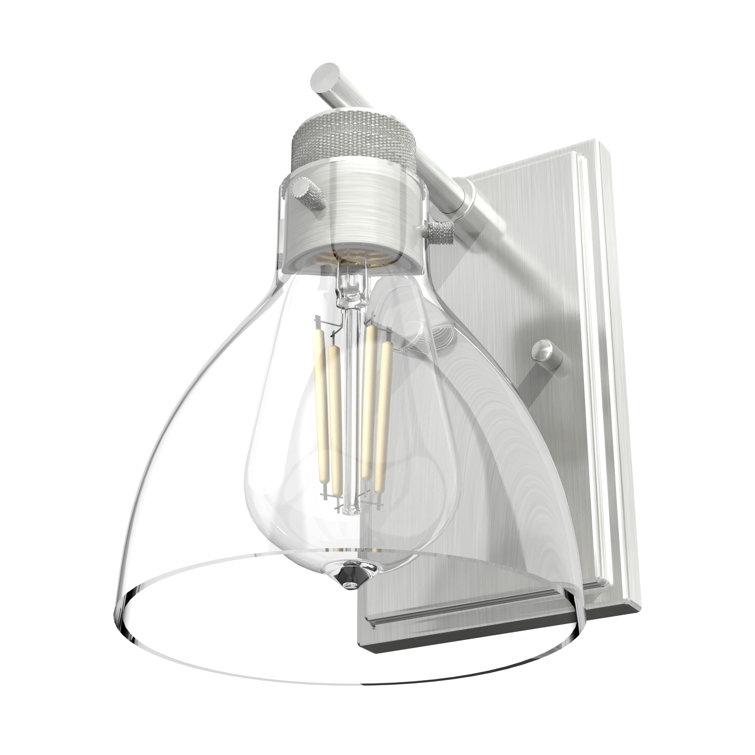 Brushed Nickel 1-Light Outdoor Wall Sconce with Clear Glass Shade
