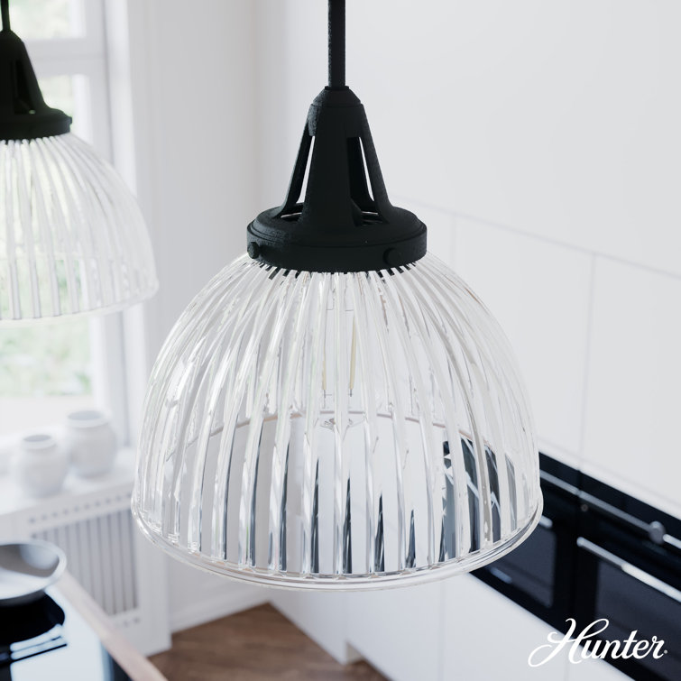 Hunter Cypress Grove Natural Black Iron Mini Pendant Light with Clear Glass Dome Shade
