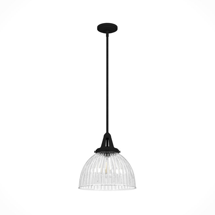 Hunter Cypress Grove Natural Black Iron Mini Pendant Light with Clear Glass Dome Shade
