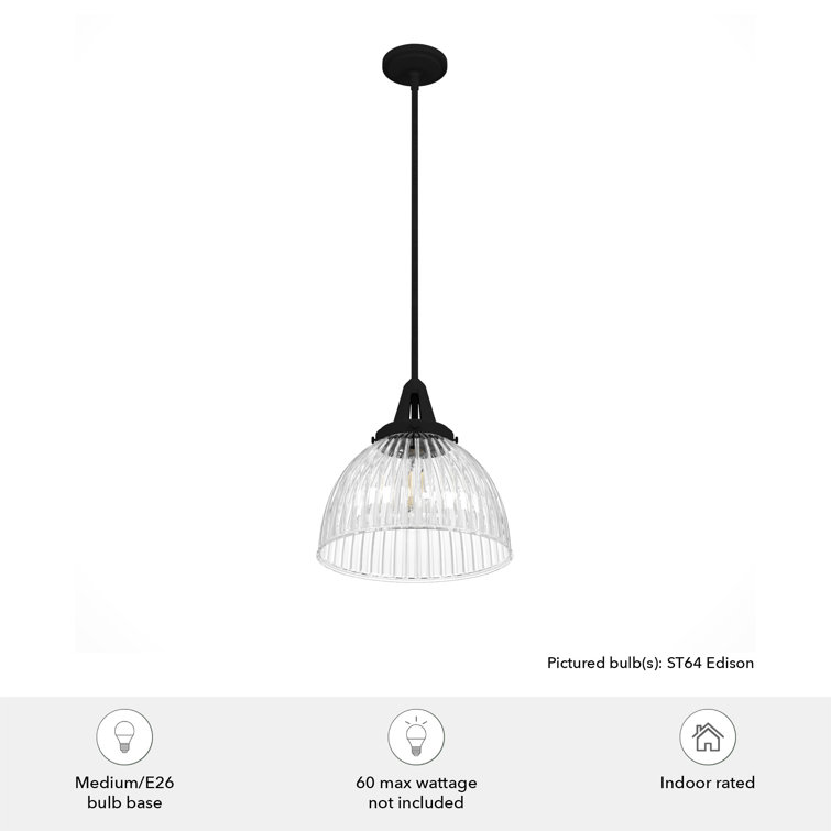Hunter Cypress Grove Natural Black Iron Mini Pendant Light with Clear Glass Dome Shade