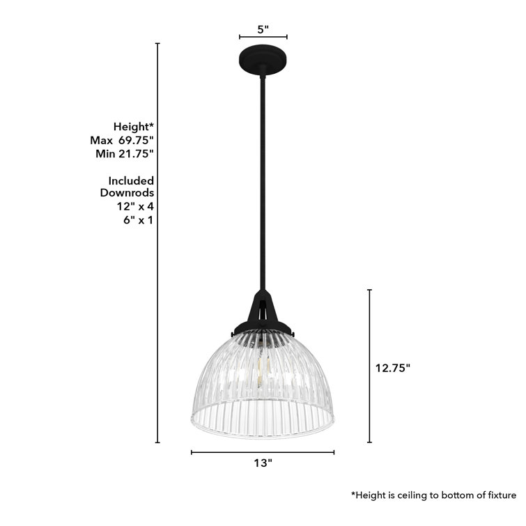 Hunter Cypress Grove Natural Black Iron Mini Pendant Light with Clear Glass Dome Shade
