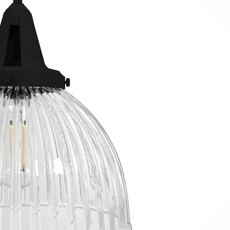 Hunter Cypress Grove Natural Black Iron Mini Pendant Light with Clear Glass Dome Shade