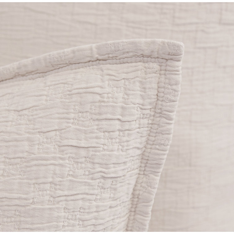 Blush Cotton Standard Sham with Textured Design