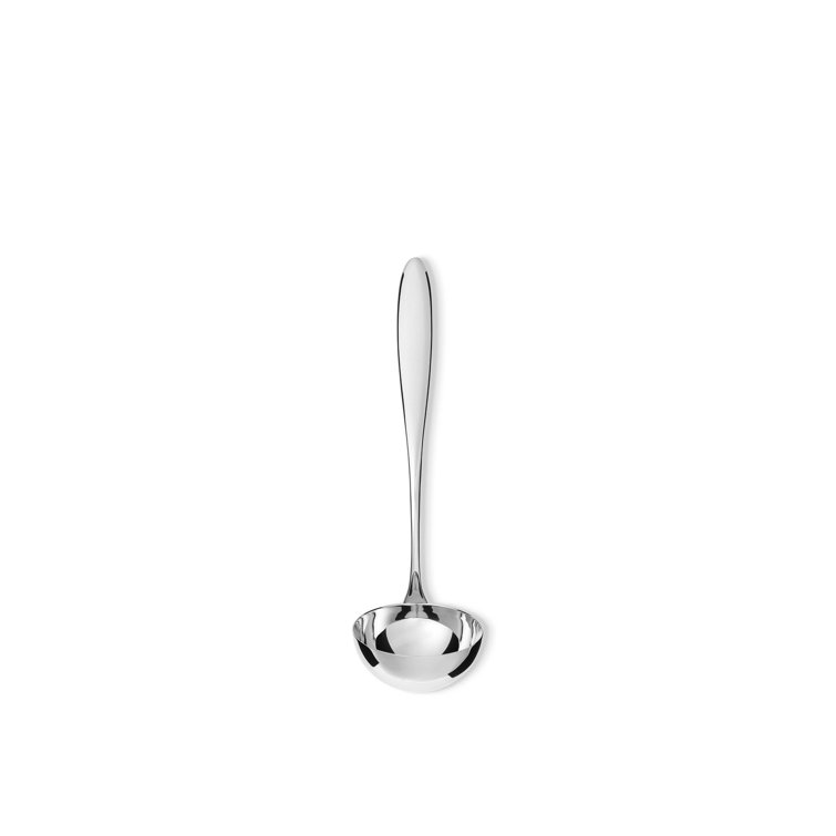 Elegant Stainless Steel Long Handle Dipper