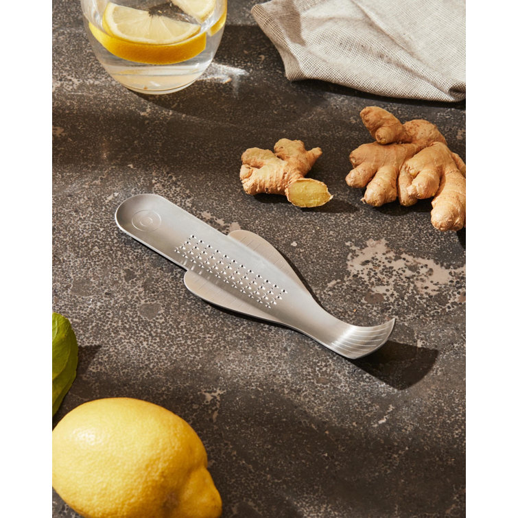 Stainless Steel Fish-Shaped Ginger Grater