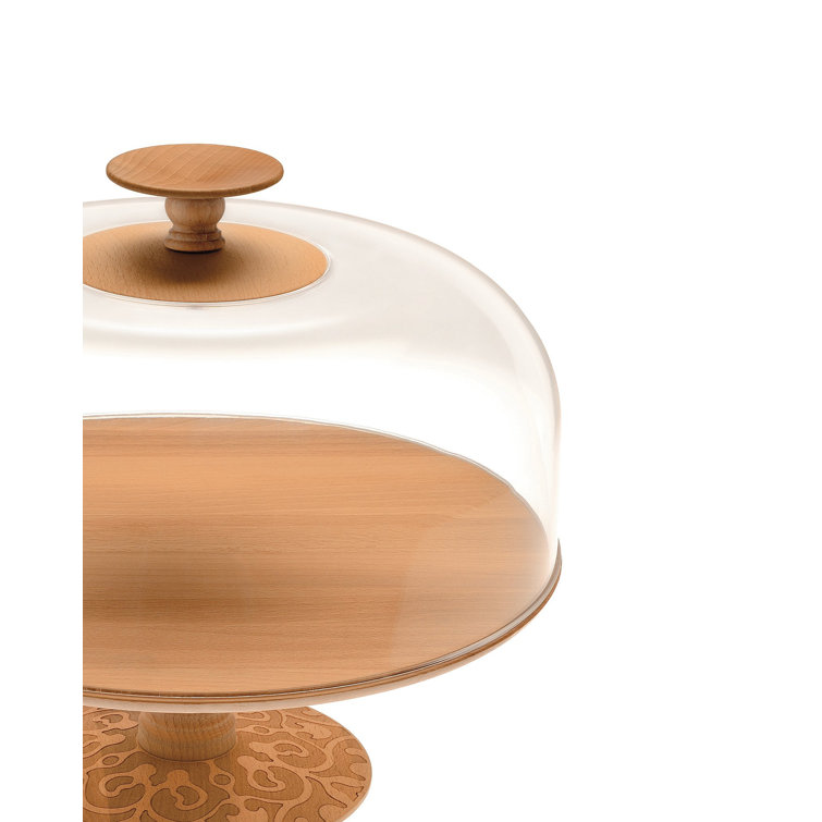 Clear Acrylic Dome Lid with Beech Wood Knob