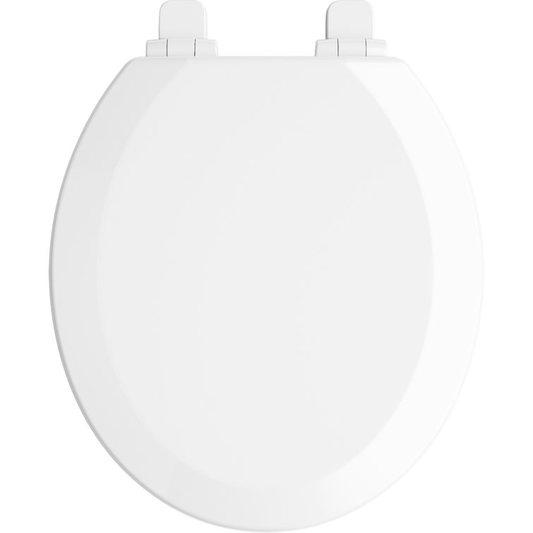 White Elongated Quiet-Close Toilet Seat with Plastic Hinges