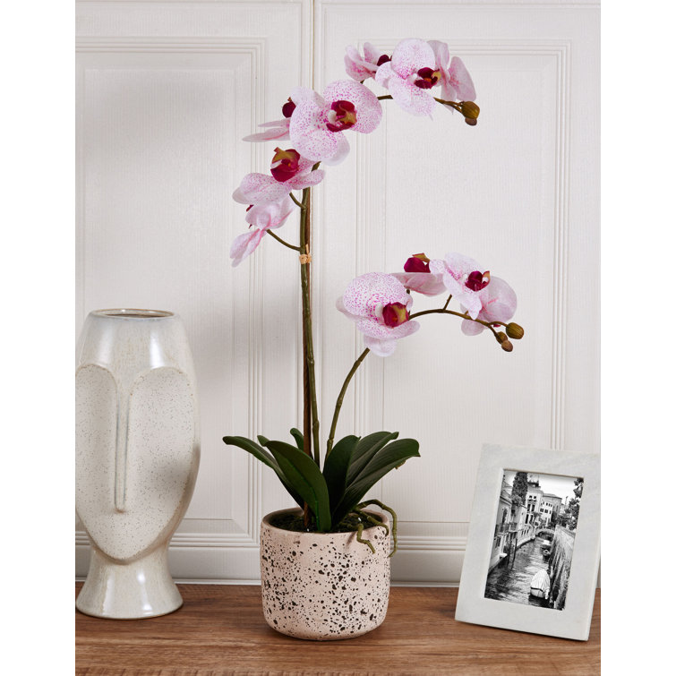 Pink Spotted Artificial Orchid in Oval Plastic Pot