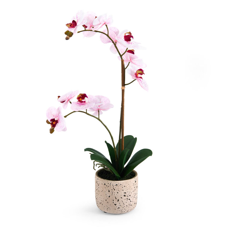 Pink Spotted Artificial Orchid in Oval Plastic Pot