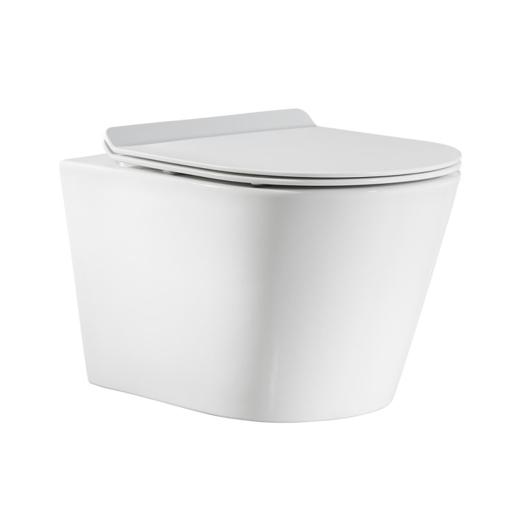 Glossy White Ceramic Wall-Hung Round Dual Flush Toilet