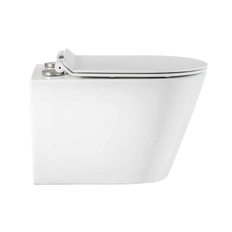 Glossy White Ceramic Wall-Hung Round Dual Flush Toilet