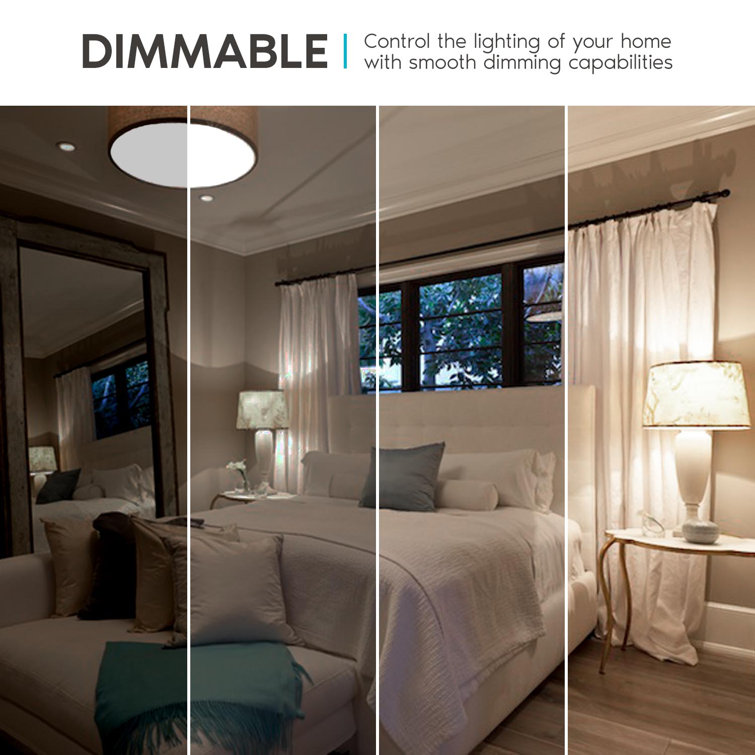 White Frosted Dimmable Energy Star LED Light Bulbs