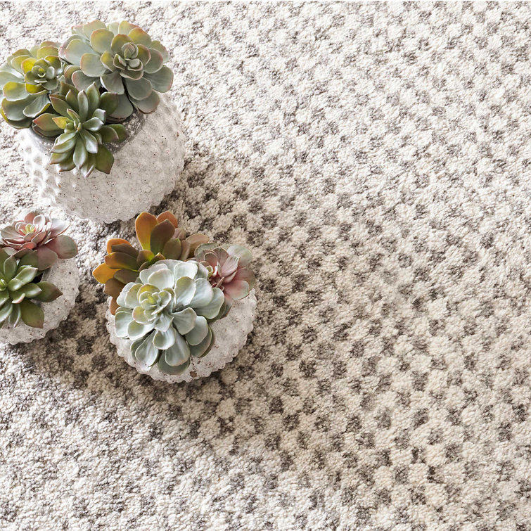 Citra Hand-Knotted Gray Geometric Wool-Blend 4' x 6' Area Rug