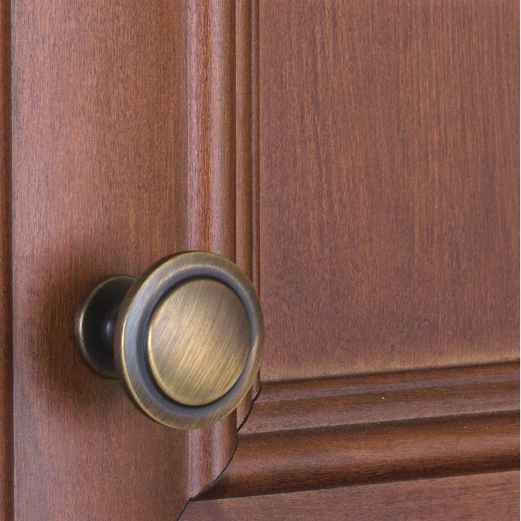 Antique Brass Round Cabinet Knob with Mounting Hardware