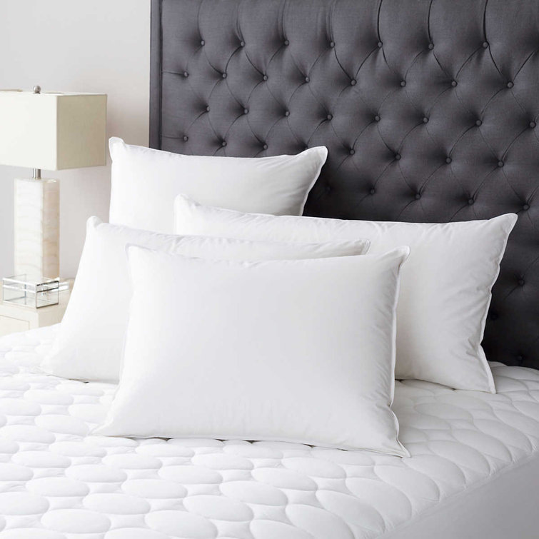 Queen Size White Organic Cotton Feather Down Pillow