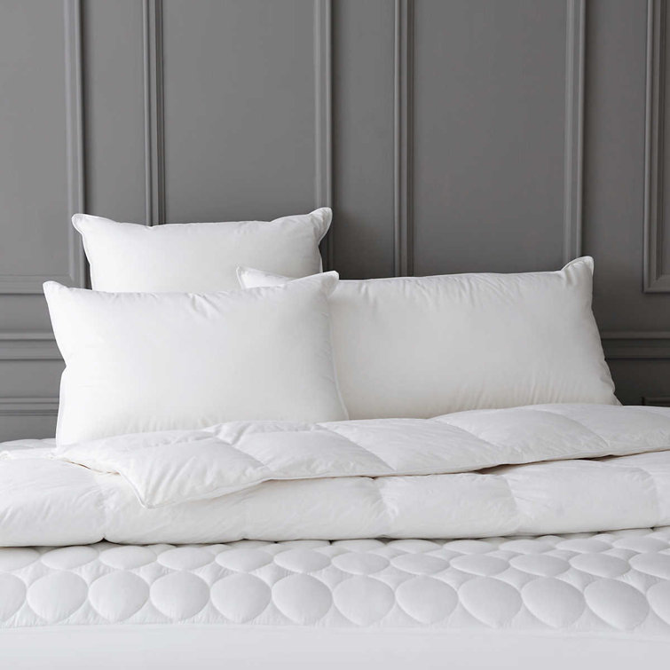 Standard White Cotton Hypoallergenic Down Pillow