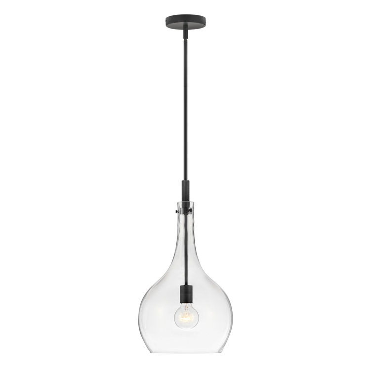 Ziggy Sleek Black Steel Pendant with Clear Glass Shade