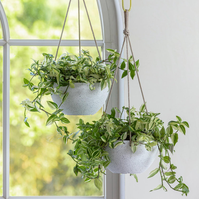 Speckled White 10'' Hanging Planters with Rope Hanger, Set of 2