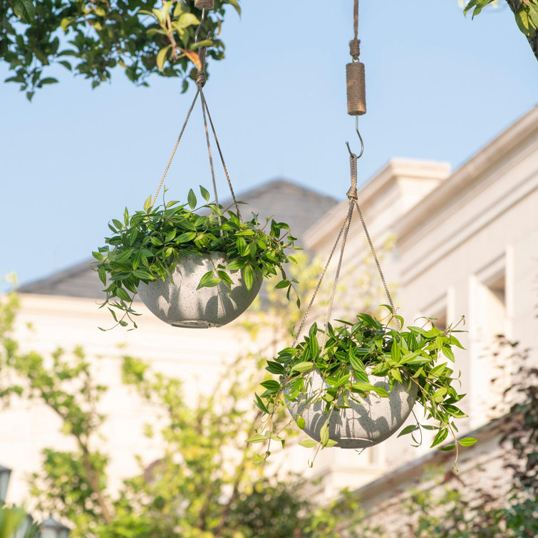 Speckled White 10'' Hanging Planters with Rope Hanger, Set of 2