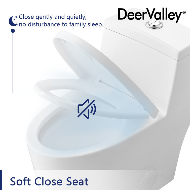 White Elongated Dual-Flush One-Piece Toilet with Silver Button