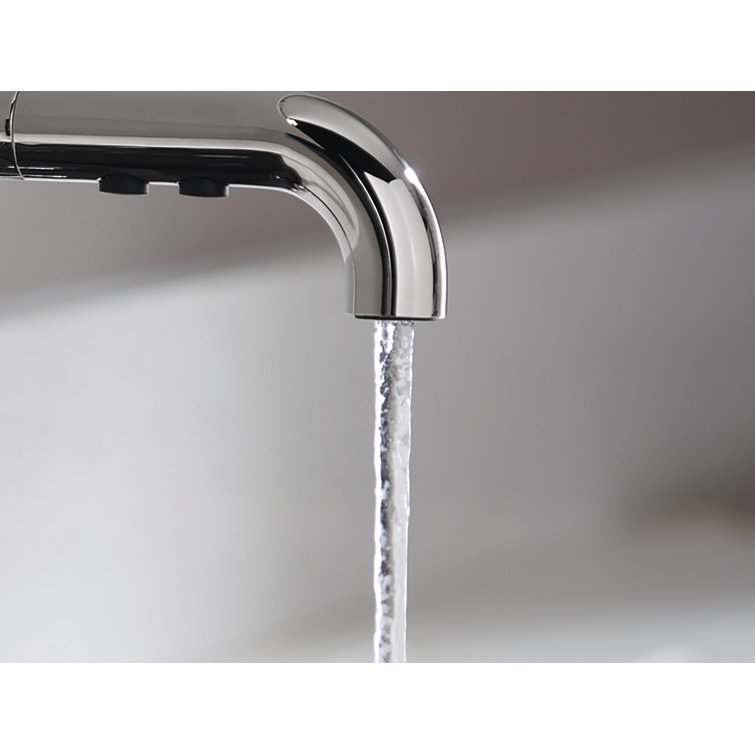 Polished Chrome Pull-Out Kitchen Faucet with Spray