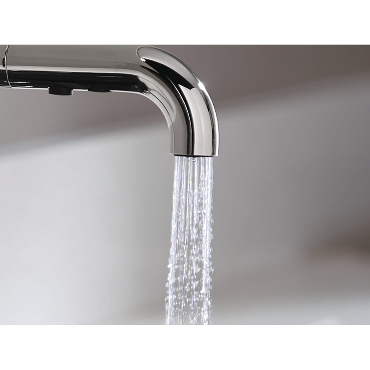Polished Chrome Pull-Out Kitchen Faucet with Spray