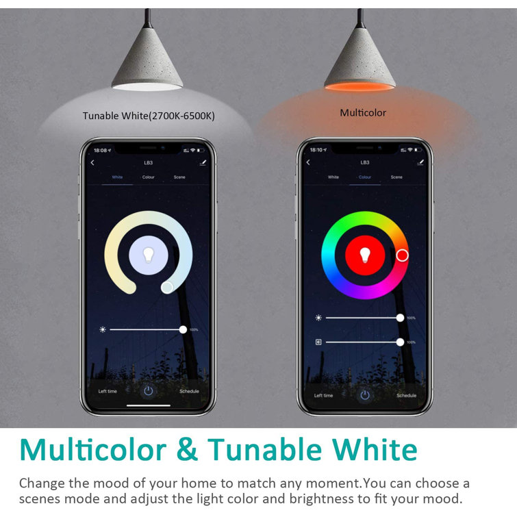 Multi-Color Dimmable LED Smart Bulbs with Voice Control