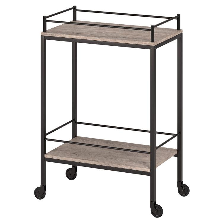 Barnes Modern Bar Cart with Storage - Antiqued Gray Oak