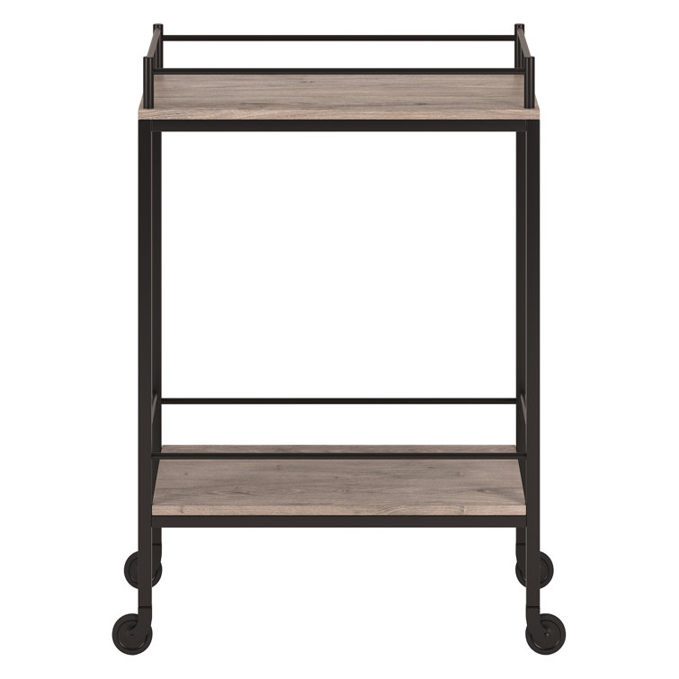 Barnes Modern Bar Cart with Storage - Antiqued Gray Oak