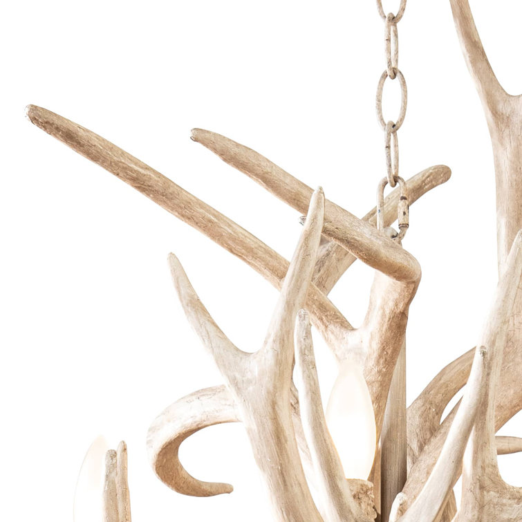 Natural Antler 12-Light Resin and Steel Chandelier