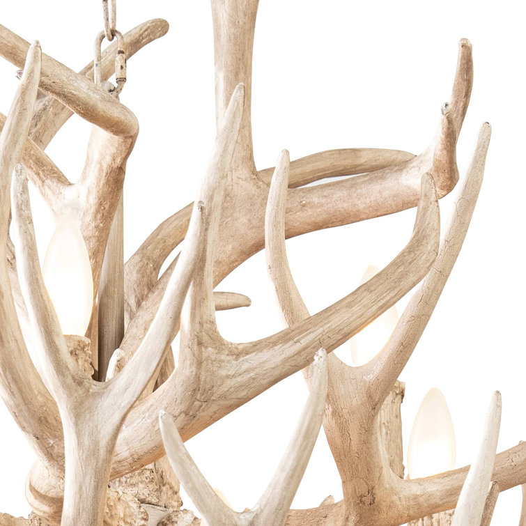 Natural Antler 12-Light Resin and Steel Chandelier