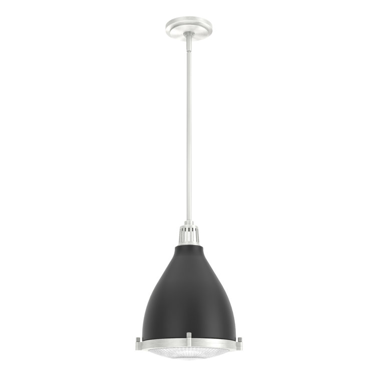 Matte Black and Brushed Nickel Glass Dome Pendant Light