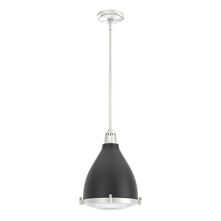 Matte Black and Brushed Nickel Glass Dome Pendant Light
