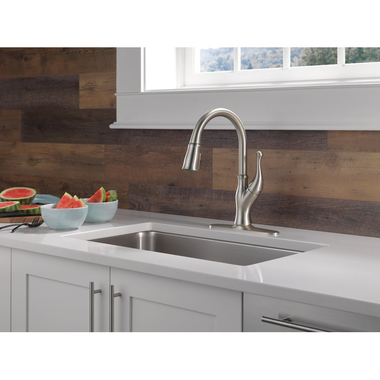 Ophelia Stainless Steel Pull Down Kitchen Faucet with Spray