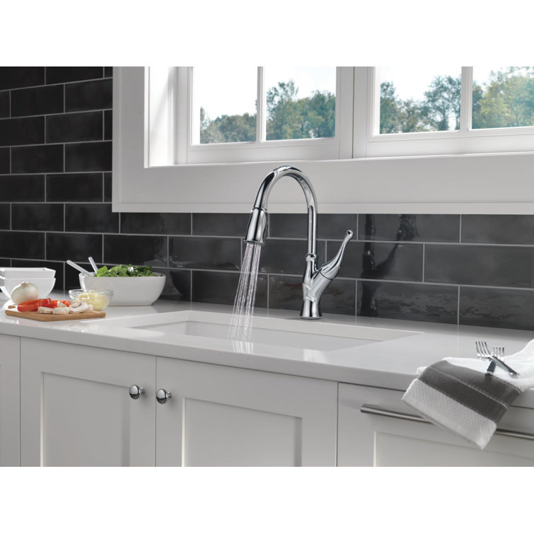 Ophelia Chrome Single Handle Pull Down Kitchen Faucet with Spray