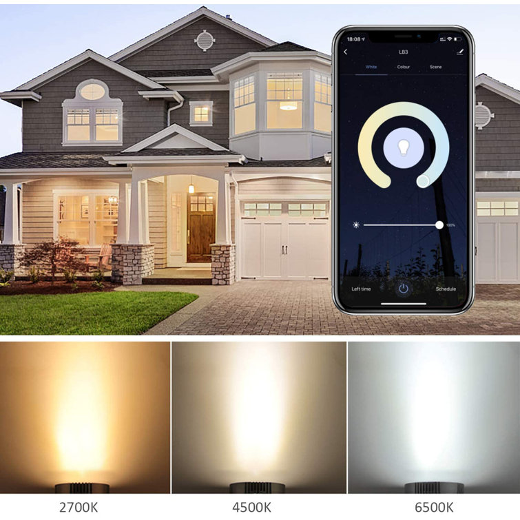 Multi-Color Dimmable LED Smart Bulbs with Voice Control