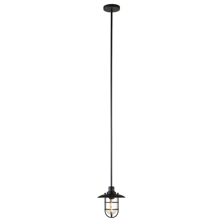 Bay Blackened Bronze Globe Pendant Light with Clear Glass Shade