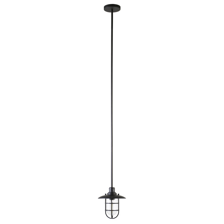 Bay Blackened Bronze Globe Pendant Light with Clear Glass Shade