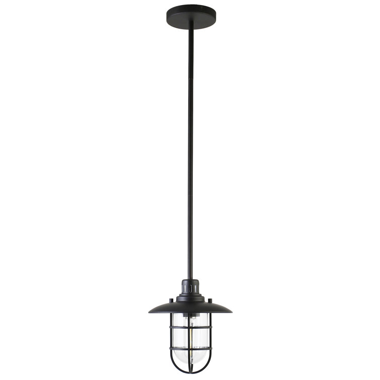 Bay Blackened Bronze Globe Pendant Light with Clear Glass Shade