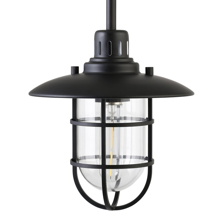 Bay Blackened Bronze Globe Pendant Light with Clear Glass Shade